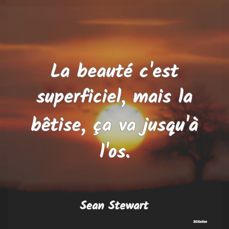 image de citation: La beauté c'est superficiel, mais la bêtise, ça va jusqu'à l'os.