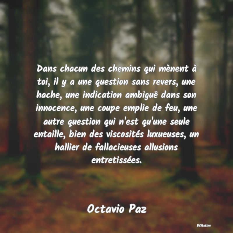 image de citation: Dans chacun des chemins qui mènent à toi, il y a une question sans revers, une hache, une indication ambiguë dans son innocence, une coupe emplie de feu, une autre question qui n'est qu'une seule entaille, bien des viscosités luxueuses, un hallier de fallacieuses allusions entretissées.