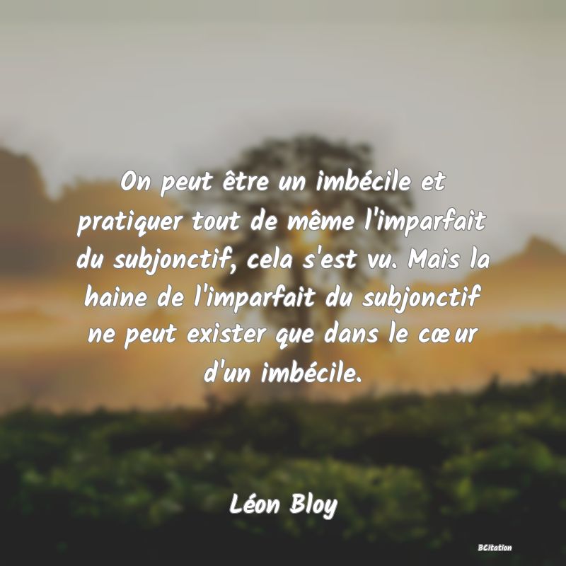 image de citation: On peut être un imbécile et pratiquer tout de même l'imparfait du subjonctif, cela s'est vu. Mais la haine de l'imparfait du subjonctif ne peut exister que dans le cœur d'un imbécile.