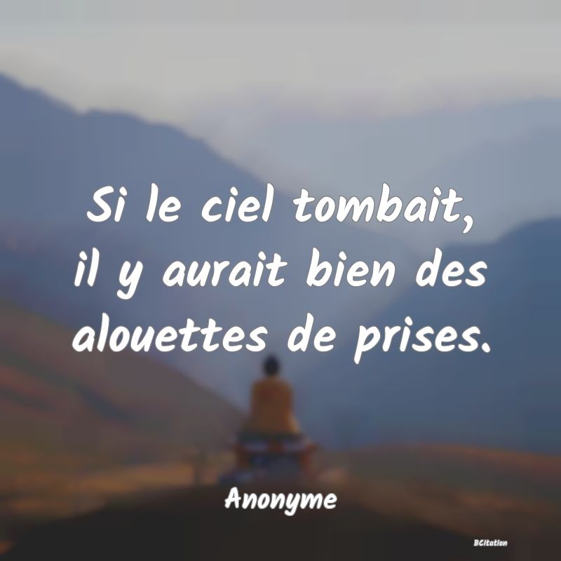 image de citation: Si le ciel tombait, il y aurait bien des alouettes de prises.
