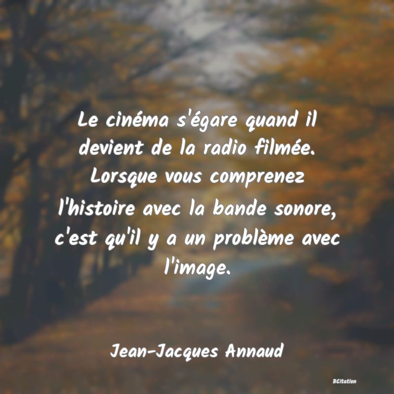 image de citation: Le cinéma s'égare quand il devient de la radio filmée. Lorsque vous comprenez l'histoire avec la bande sonore, c'est qu'il y a un problème avec l'image.