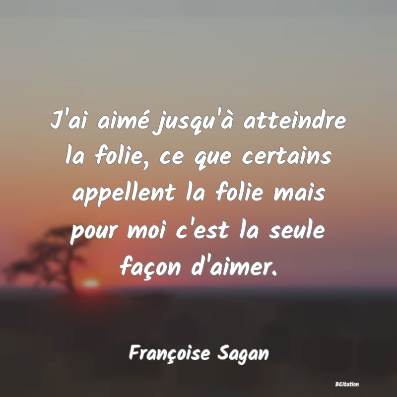 image de citation: J'ai aimé jusqu'à atteindre la folie, ce que certains appellent la folie mais pour moi c'est la seule façon d'aimer.