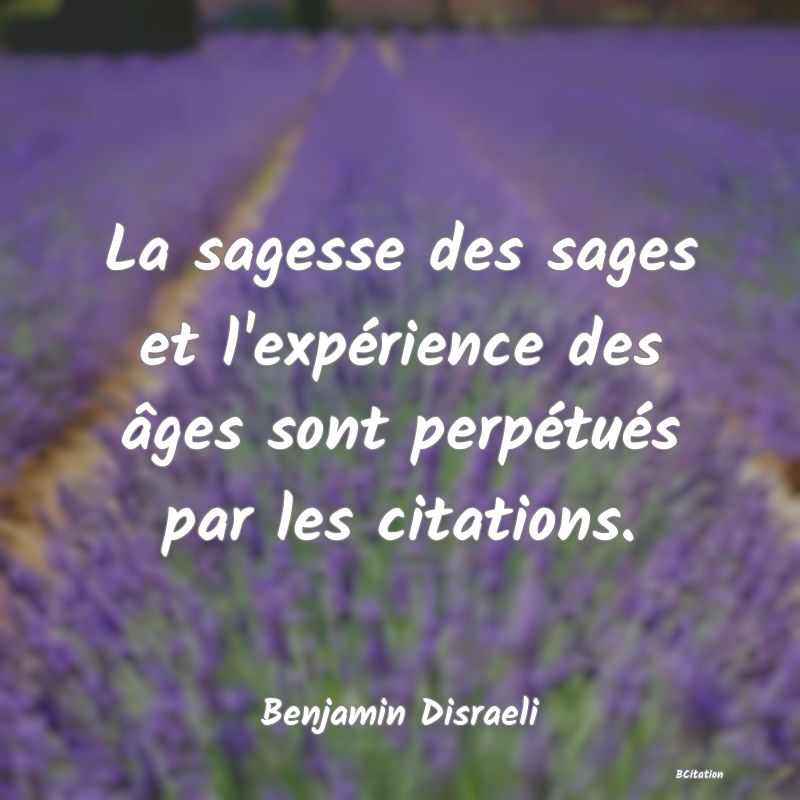 image de citation: La sagesse des sages et l'expérience des âges sont perpétués par les citations.