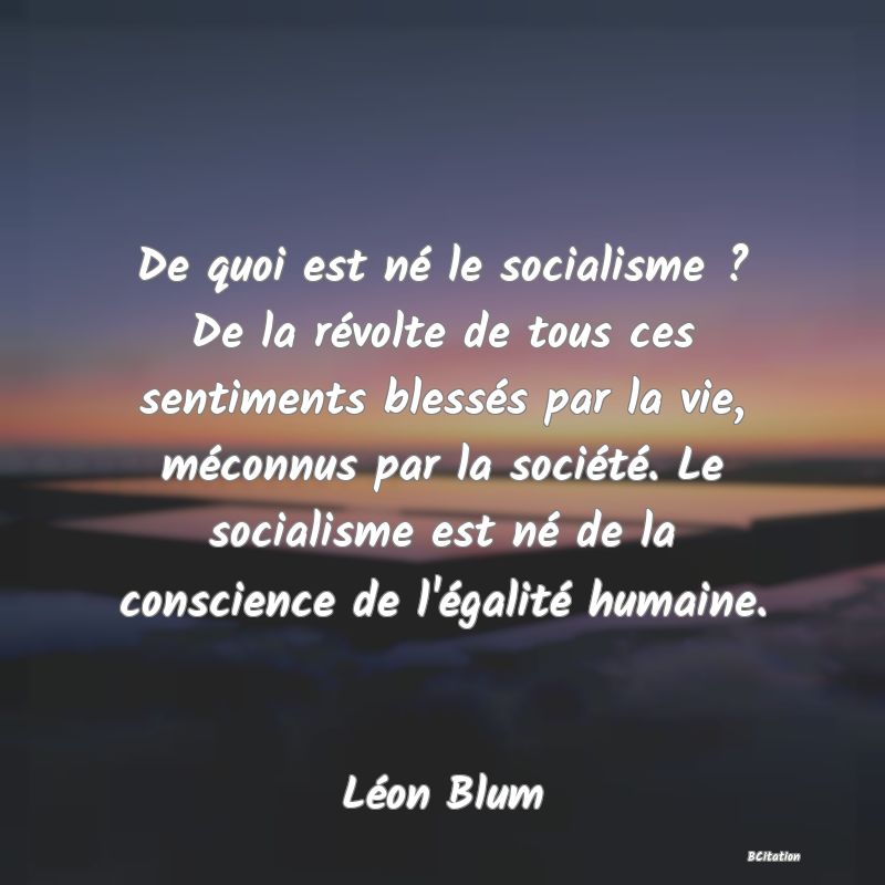 image de citation: De quoi est né le socialisme ? De la révolte de tous ces sentiments blessés par la vie, méconnus par la société. Le socialisme est né de la conscience de l'égalité humaine.