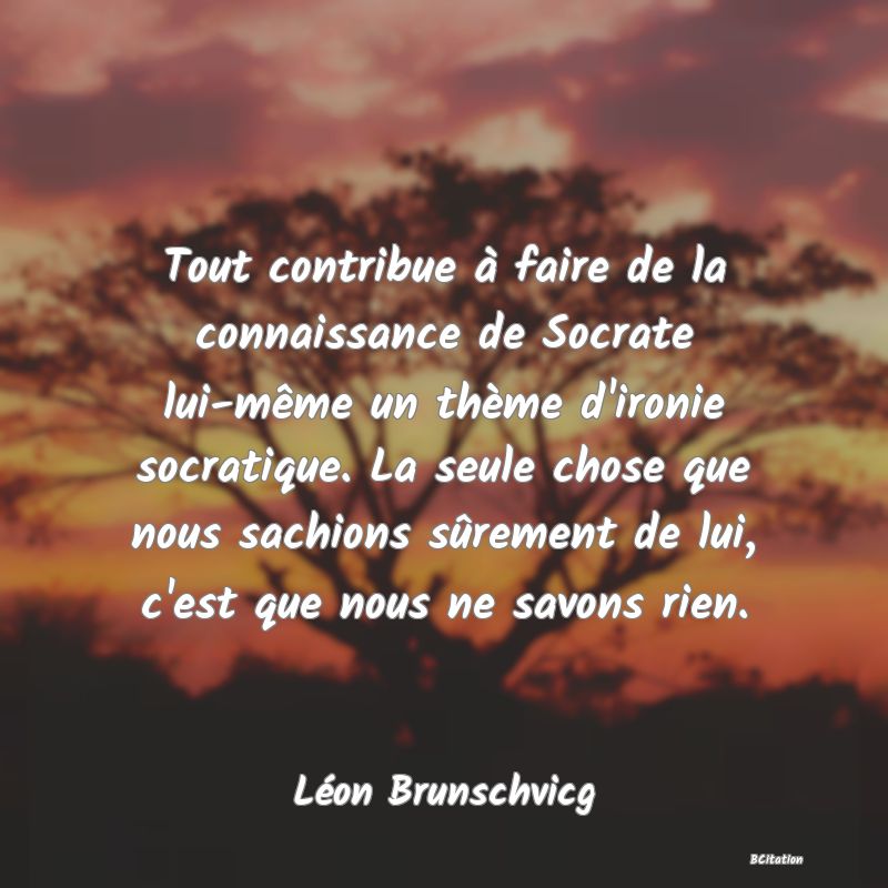 image de citation: Tout contribue à faire de la connaissance de Socrate lui-même un thème d'ironie socratique. La seule chose que nous sachions sûrement de lui, c'est que nous ne savons rien.