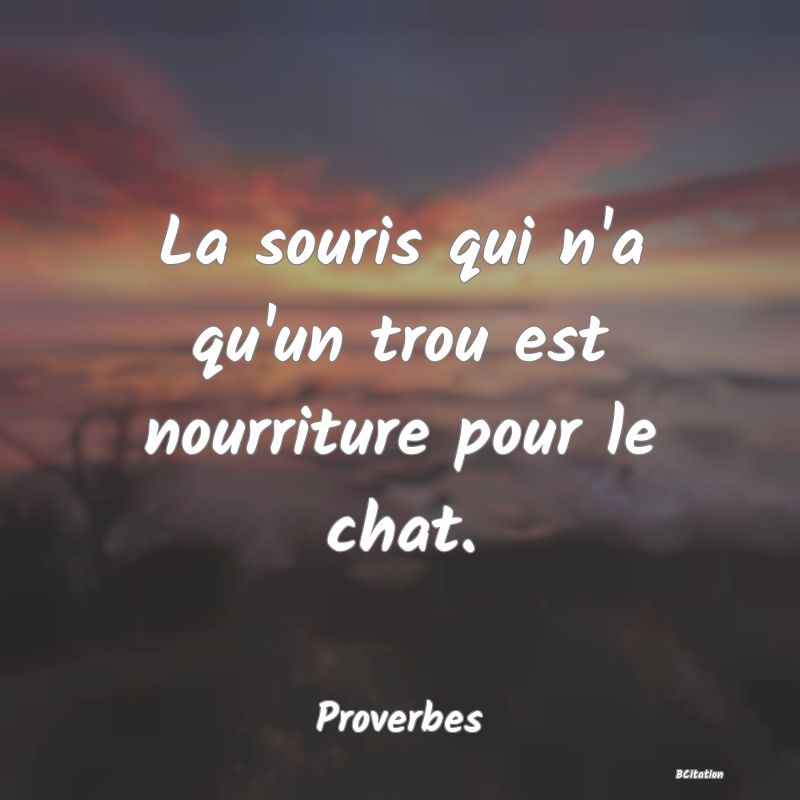 image de citation: La souris qui n'a qu'un trou est nourriture pour le chat.