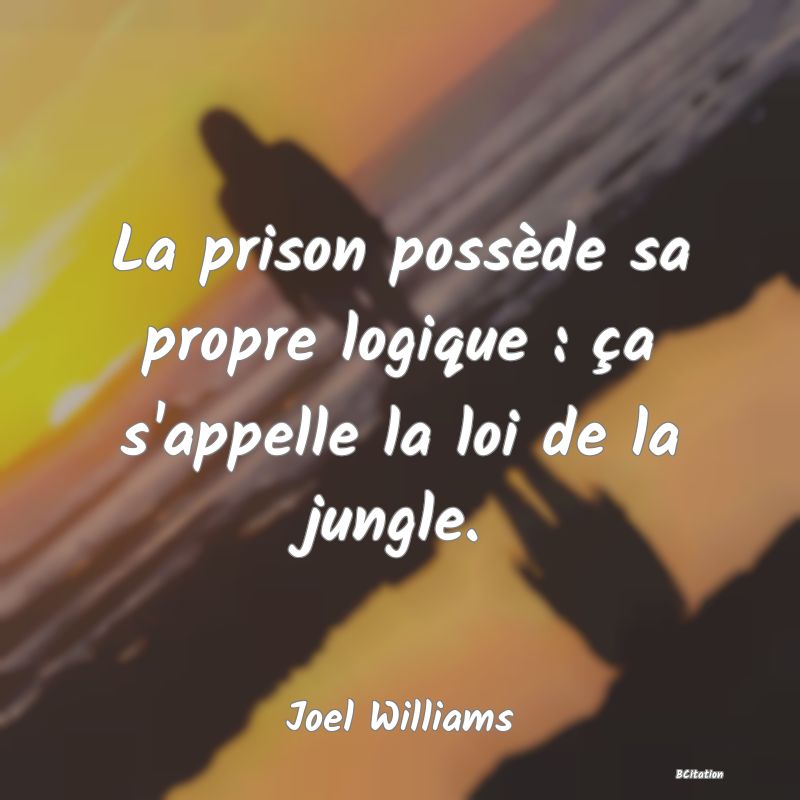 image de citation: La prison possède sa propre logique : ça s'appelle la loi de la jungle.