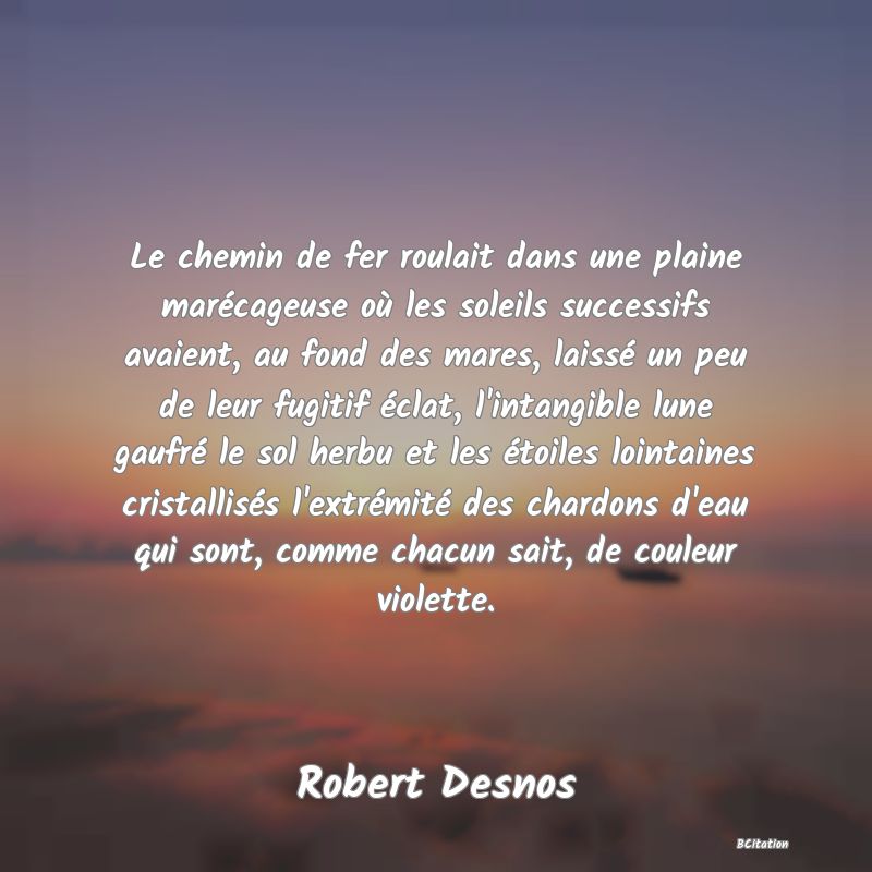 Belle Citation - Le chemin de fer roulait dans une plaine marécageuse où les soleils successifs avaient, au fond des mares, laissé un peu de leur fugitif éclat, l'intangible lune gaufré le sol herbu et les étoiles lointaines cristallisés l'extrémité des chardons d'eau qui sont, comme chacun sait, de couleur violette. - Robert Desnos