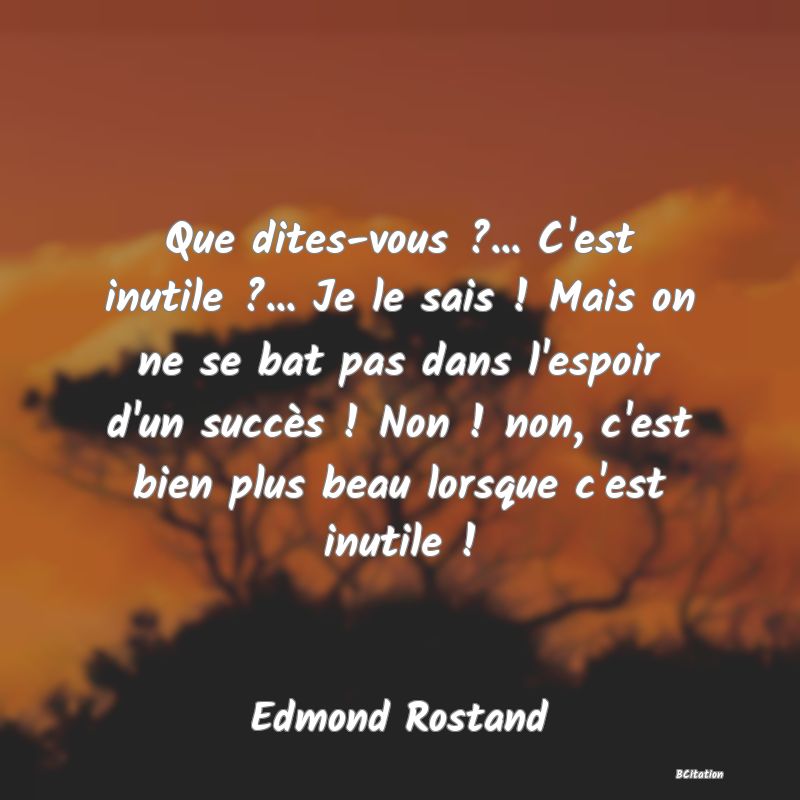 image de citation: Que dites-vous ?... C'est inutile ?... Je le sais ! Mais on ne se bat pas dans l'espoir d'un succès ! Non ! non, c'est bien plus beau lorsque c'est inutile !