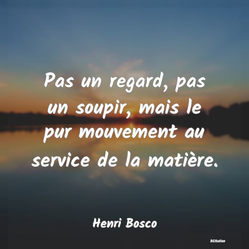 image de citation: Pas un regard, pas un soupir, mais le pur mouvement au service de la matière.