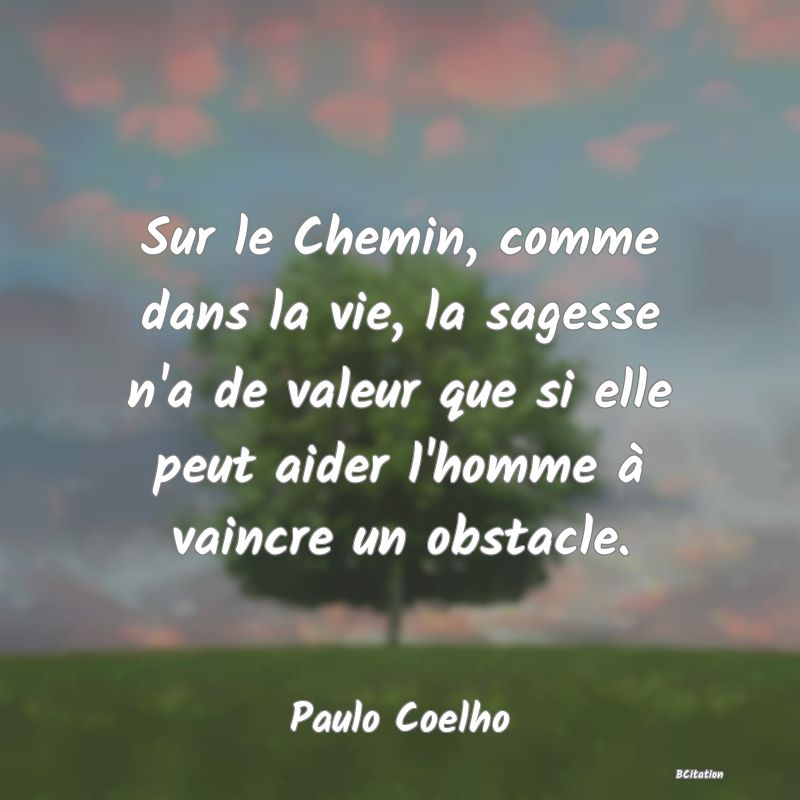 image de citation: Sur le Chemin, comme dans la vie, la sagesse n'a de valeur que si elle peut aider l'homme à vaincre un obstacle.