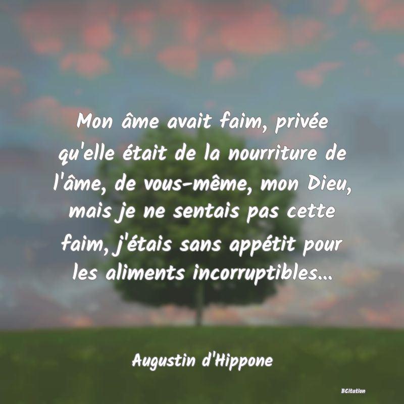 image de citation: Mon âme avait faim, privée qu'elle était de la nourriture de l'âme, de vous-même, mon Dieu, mais je ne sentais pas cette faim, j'étais sans appétit pour les aliments incorruptibles...