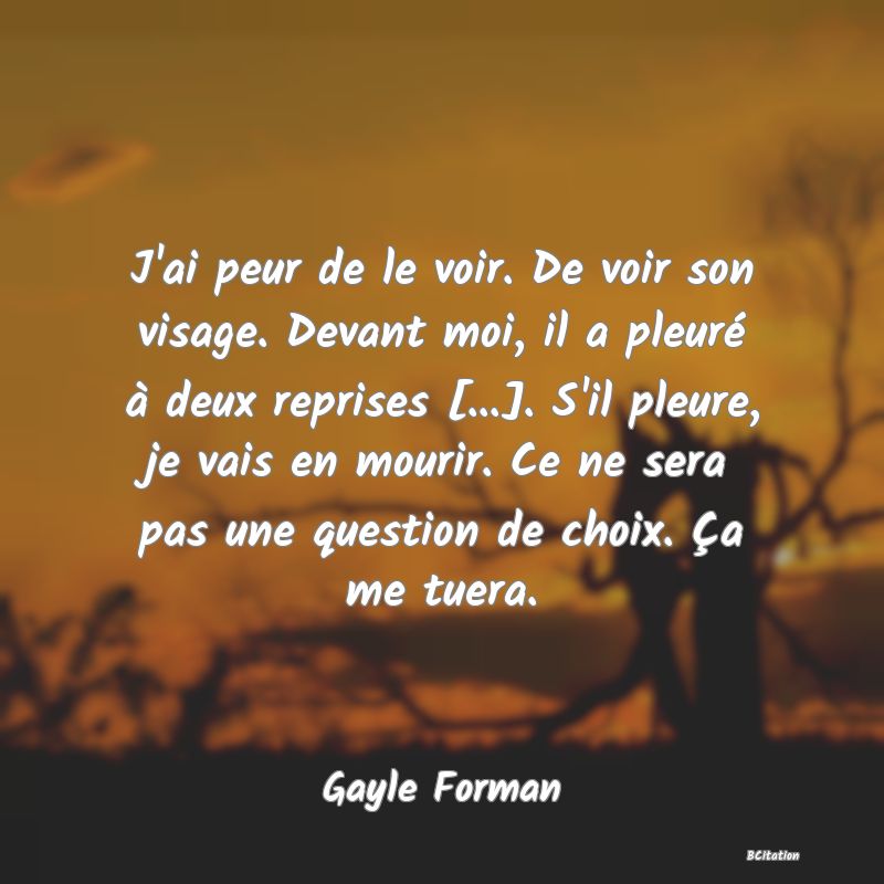 image de citation: J'ai peur de le voir. De voir son visage. Devant moi, il a pleuré à deux reprises [...]. S'il pleure, je vais en mourir. Ce ne sera pas une question de choix. Ça me tuera.