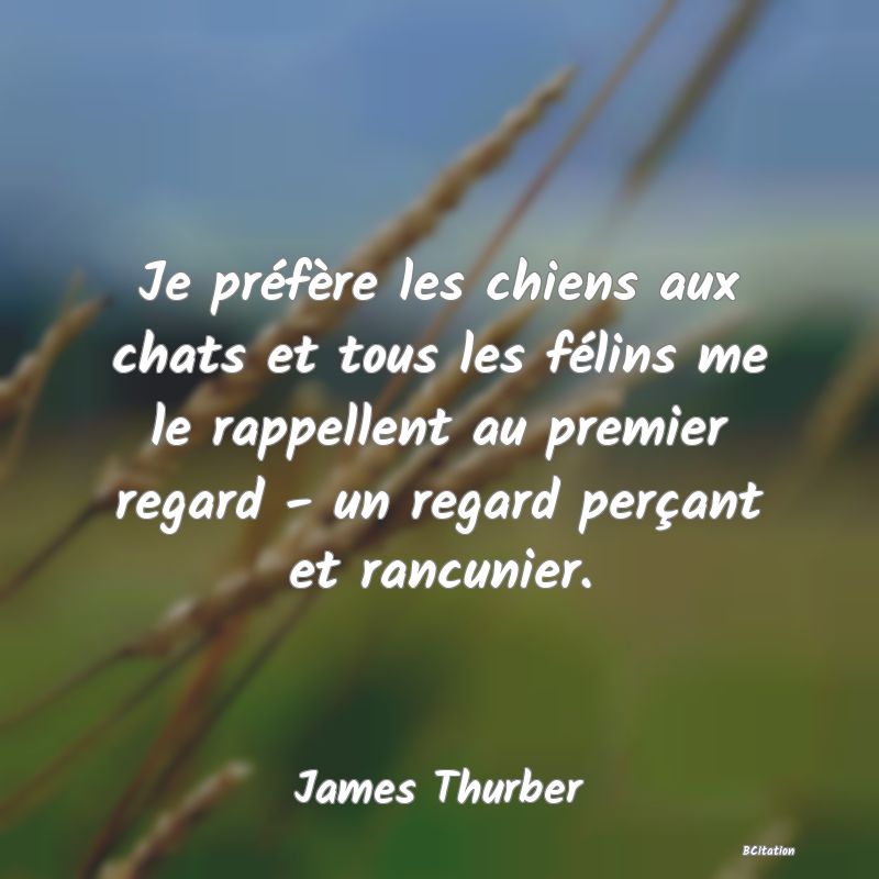 image de citation: Je préfère les chiens aux chats et tous les félins me le rappellent au premier regard - un regard perçant et rancunier.