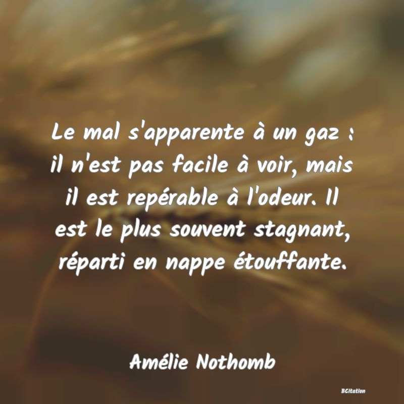 image de citation: Le mal s'apparente à un gaz : il n'est pas facile à voir, mais il est repérable à l'odeur. Il est le plus souvent stagnant, réparti en nappe étouffante.