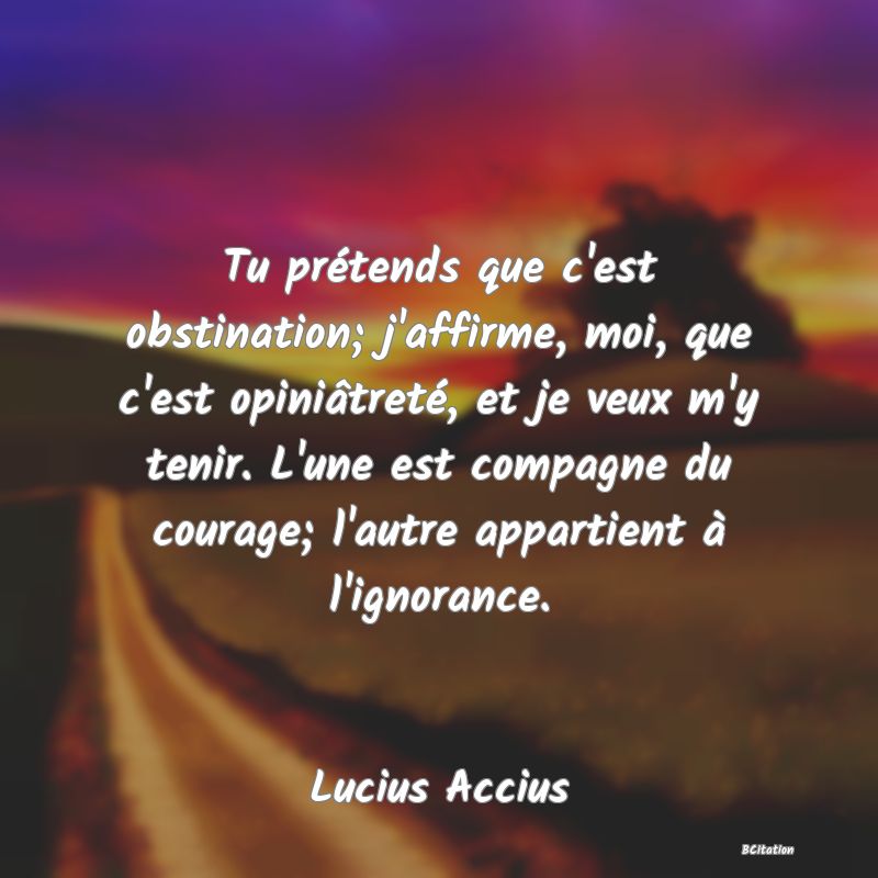 image de citation: Tu prétends que c'est obstination; j'affirme, moi, que c'est opiniâtreté, et je veux m'y tenir. L'une est compagne du courage; l'autre appartient à l'ignorance.