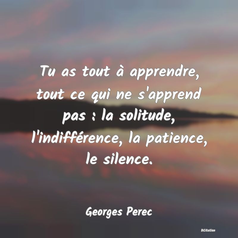 image de citation: Tu as tout à apprendre, tout ce qui ne s'apprend pas : la solitude, l'indifférence, la patience, le silence.