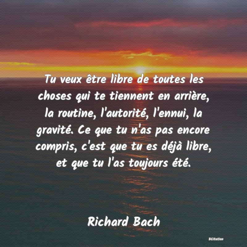 image de citation: Tu veux être libre de toutes les choses qui te tiennent en arrière, la routine, l'autorité, l'ennui, la gravité. Ce que tu n'as pas encore compris, c'est que tu es déjà libre, et que tu l'as toujours été.