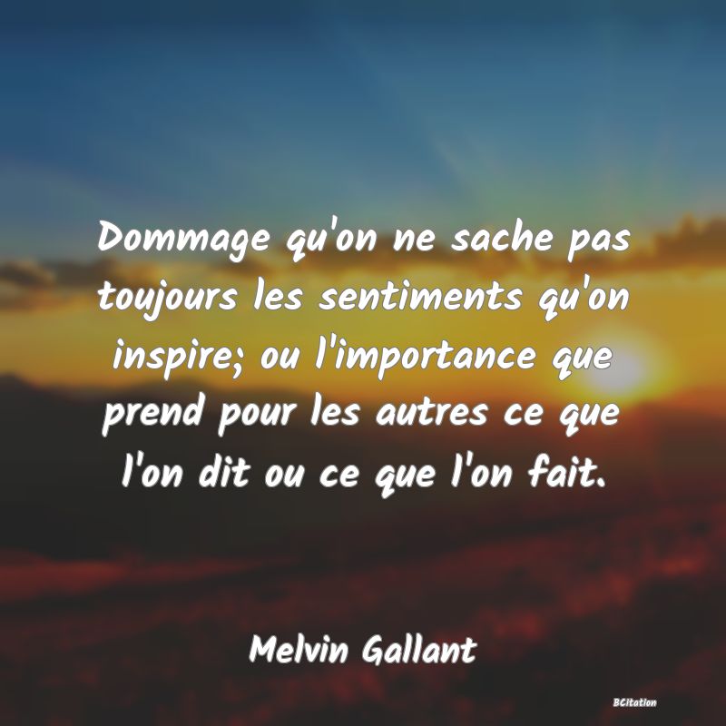 image de citation: Dommage qu'on ne sache pas toujours les sentiments qu'on inspire; ou l'importance que prend pour les autres ce que l'on dit ou ce que l'on fait.