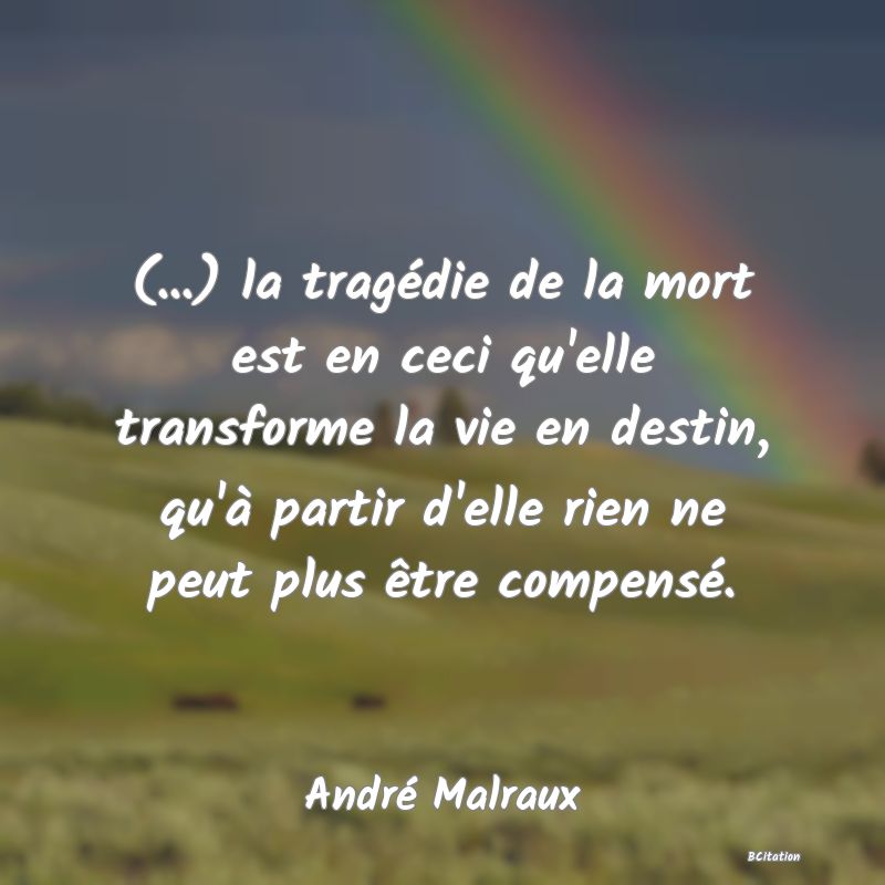 image de citation: (...) la tragédie de la mort est en ceci qu'elle transforme la vie en destin, qu'à partir d'elle rien ne peut plus être compensé.