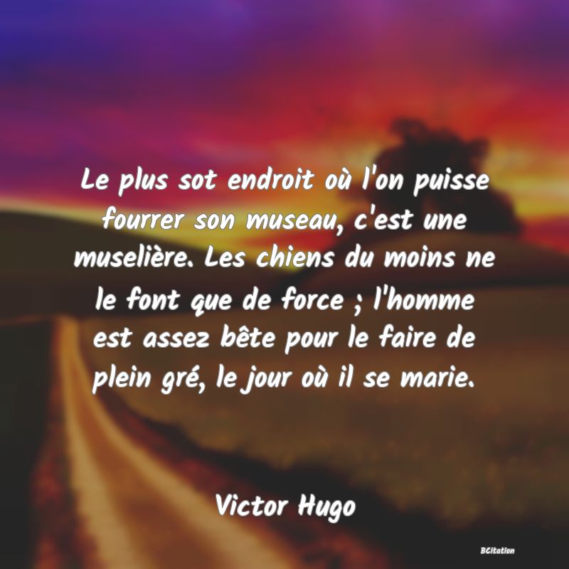 image de citation: Le plus sot endroit où l'on puisse fourrer son museau, c'est une muselière. Les chiens du moins ne le font que de force ; l'homme est assez bête pour le faire de plein gré, le jour où il se marie.