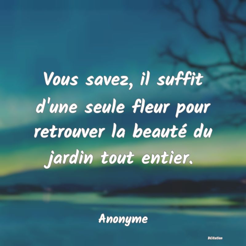 image de citation: Vous savez, il suffit d'une seule fleur pour retrouver la beauté du jardin tout entier.