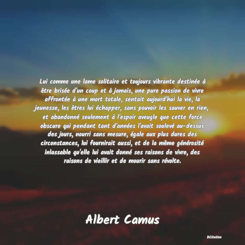 image de citation: Lui comme une lame solitaire et toujours vibrante destinée à être brisée d'un coup et à jamais, une pure passion de vivre affrontée à une mort totale, sentait aujourd'hui la vie, la jeunesse, les êtres lui échapper, sans pouvoir les sauver en rien, et abandonné seulement à l'espoir aveugle que cette force obscure qui pendant tant d'années l'avait soulevé au-dessus des jours, nourri sans mesure, égale aux plus dures des circonstances, lui fournirait aussi, et de la même générosité inlassable qu'elle lui avait donné ses raisons de vivre, des raisons de vieillir et de mourir sans révolte.