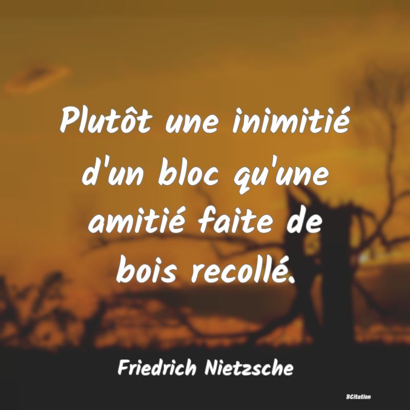 image de citation: Plutôt une inimitié d'un bloc qu'une amitié faite de bois recollé.