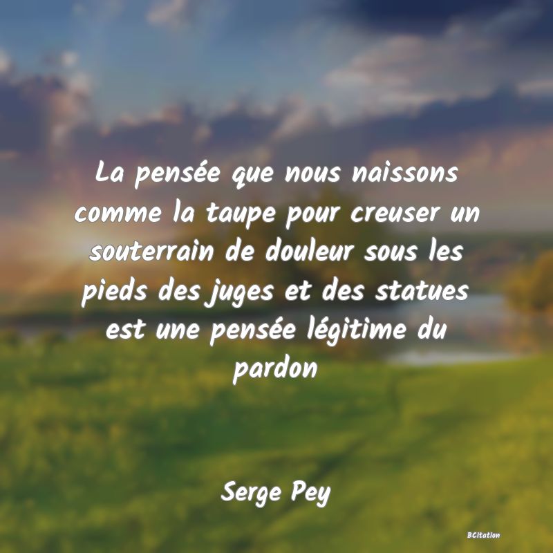 image de citation: La pensée que nous naissons comme la taupe pour creuser un souterrain de douleur sous les pieds des juges et des statues est une pensée légitime du pardon