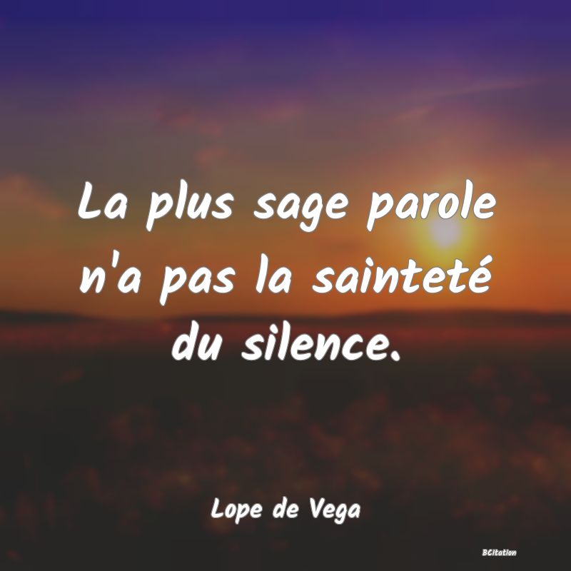 image de citation: La plus sage parole n'a pas la sainteté du silence.