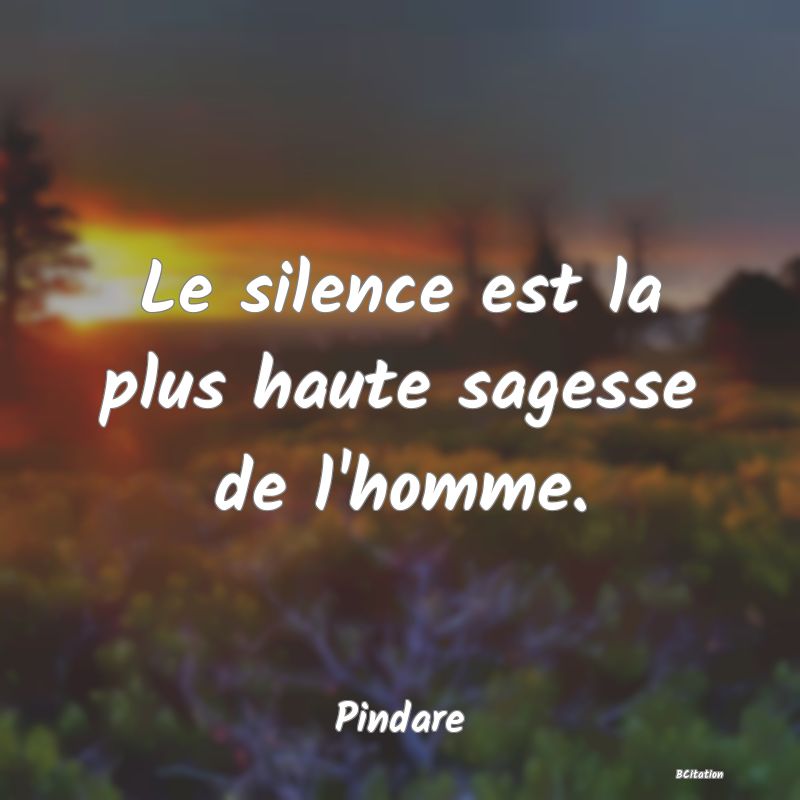 image de citation: Le silence est la plus haute sagesse de l'homme.