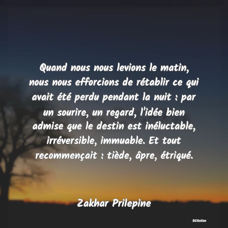 image de citation: Quand nous nous levions le matin, nous nous efforcions de rétablir ce qui avait été perdu pendant la nuit : par un sourire, un regard, l'idée bien admise que le destin est inéluctable, irréversible, immuable. Et tout recommençait : tiède, âpre, étriqué.