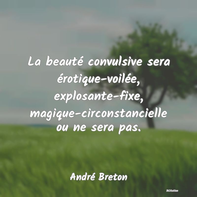 image de citation: La beauté convulsive sera érotique-voilée, explosante-fixe, magique-circonstancielle ou ne sera pas.