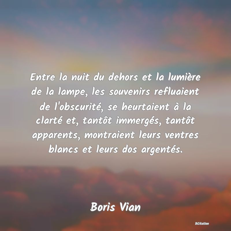 image de citation: Entre la nuit du dehors et la lumière de la lampe, les souvenirs refluaient de l'obscurité, se heurtaient à la clarté et, tantôt immergés, tantôt apparents, montraient leurs ventres blancs et leurs dos argentés.