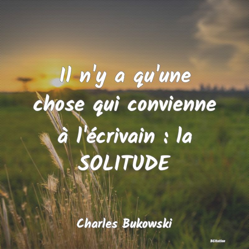 image de citation: Il n'y a qu'une chose qui convienne à l'écrivain : la SOLITUDE