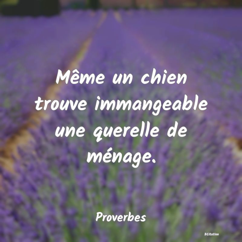 image de citation: Même un chien trouve immangeable une querelle de ménage.