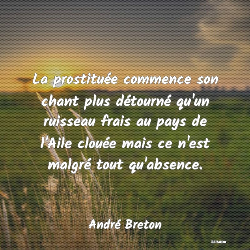 image de citation: La prostituée commence son chant plus détourné qu'un ruisseau frais au pays de l'Aile clouée mais ce n'est malgré tout qu'absence.