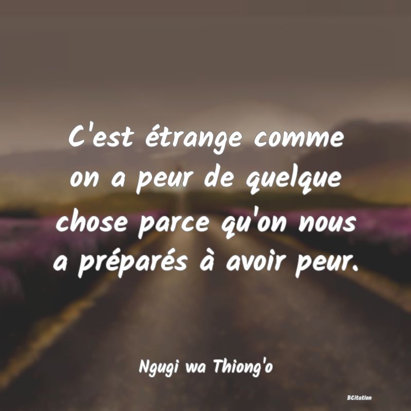 image de citation: C'est étrange comme on a peur de quelque chose parce qu'on nous a préparés à avoir peur.