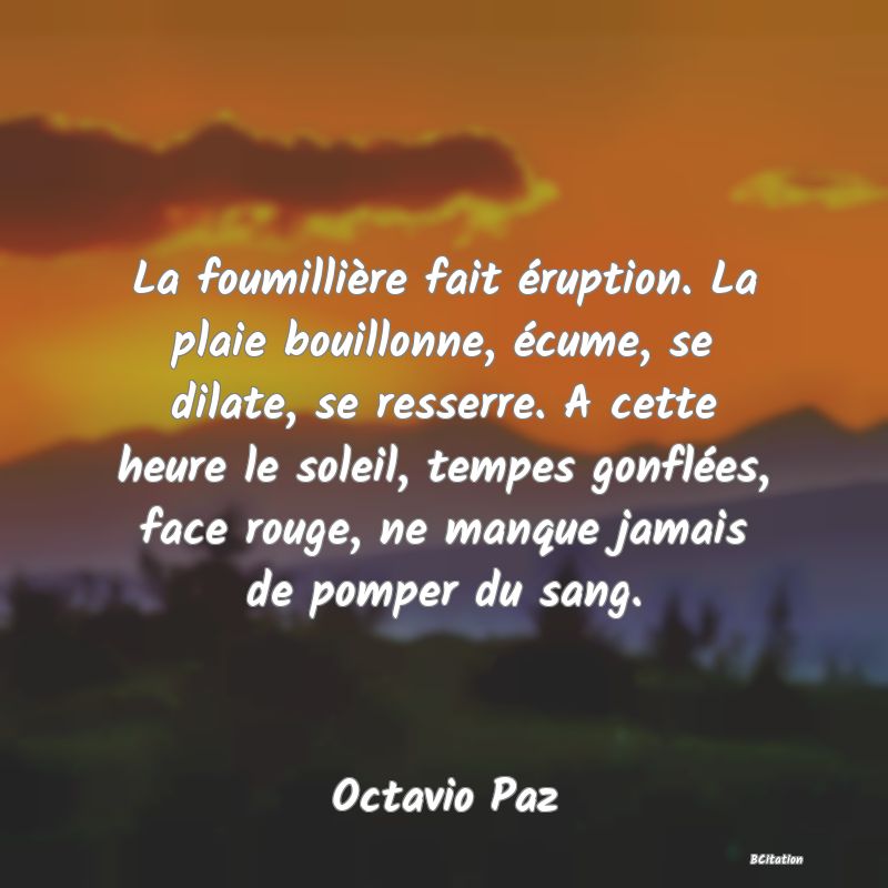 image de citation: La foumillière fait éruption. La plaie bouillonne, écume, se dilate, se resserre. A cette heure le soleil, tempes gonflées, face rouge, ne manque jamais de pomper du sang.