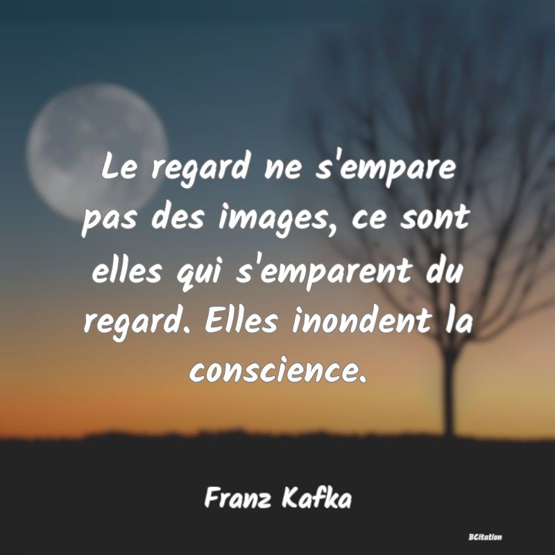 image de citation: Le regard ne s'empare pas des images, ce sont elles qui s'emparent du regard. Elles inondent la conscience.