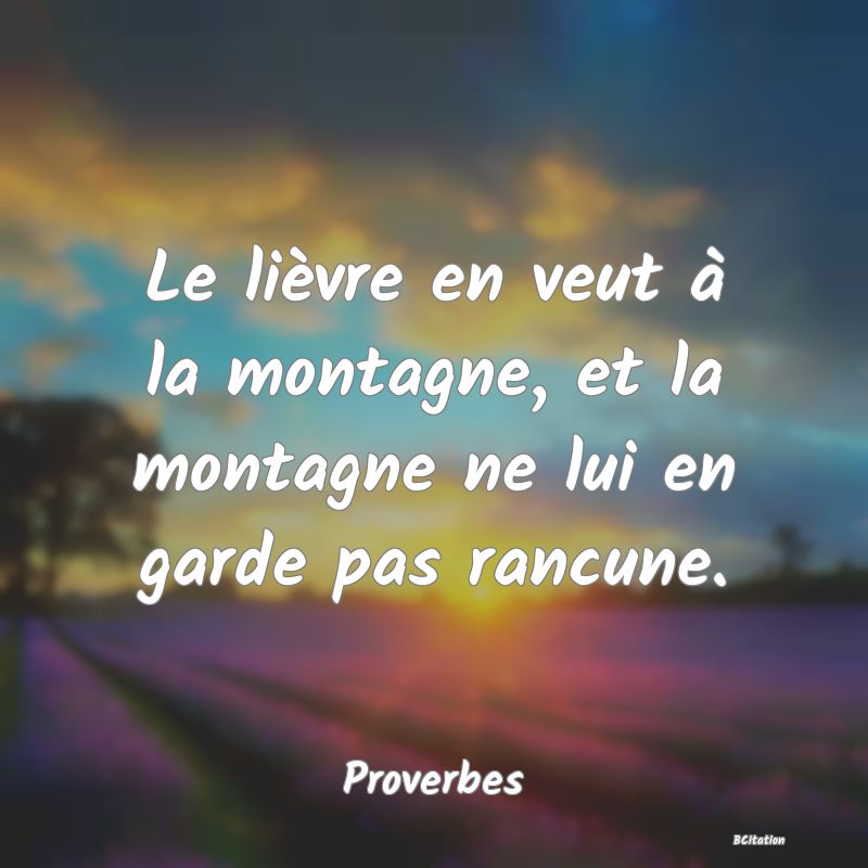Belle Citation - Le lièvre en veut à la montagne, et la montagne ne lui en garde pas rancune. - Proverbes