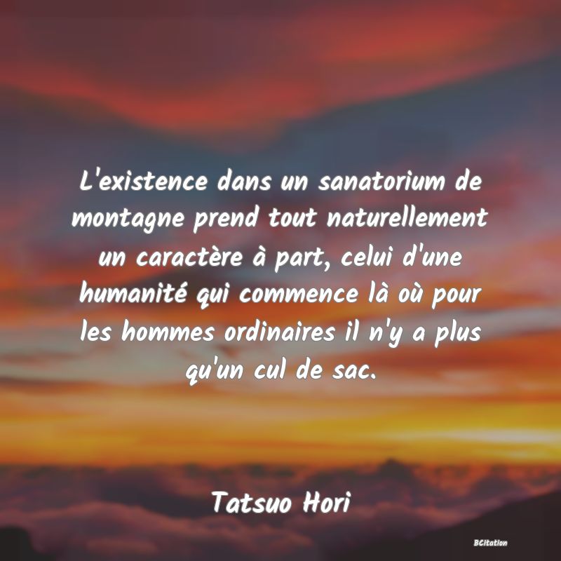 image de citation: L'existence dans un sanatorium de montagne prend tout naturellement un caractère à part, celui d'une humanité qui commence là où pour les hommes ordinaires il n'y a plus qu'un cul de sac.