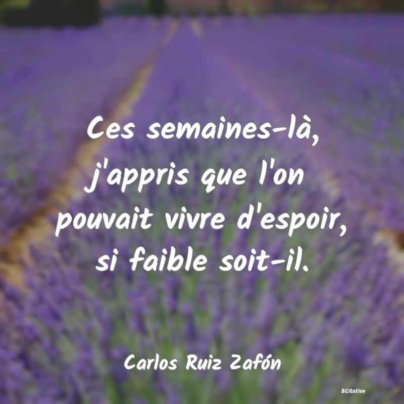 image de citation: Ces semaines-là, j'appris que l'on pouvait vivre d'espoir, si faible soit-il.