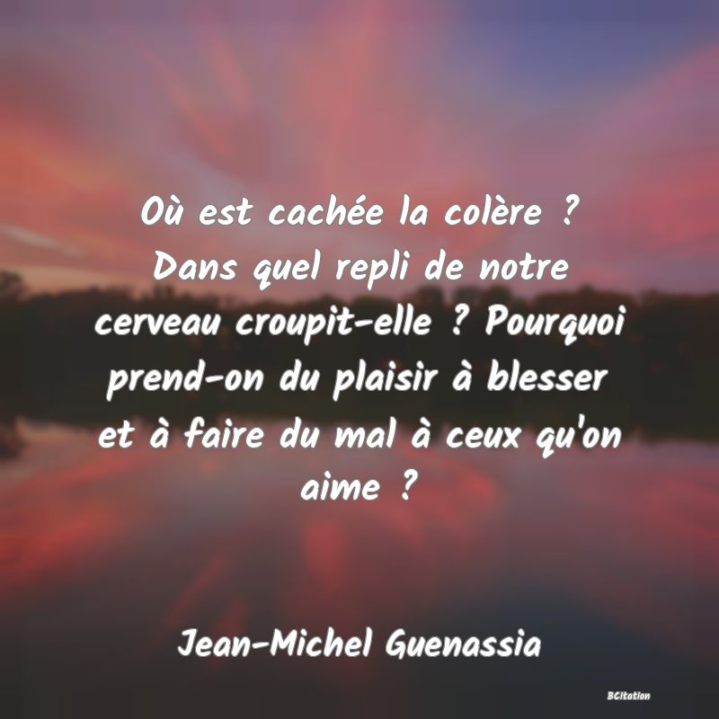 image de citation: Où est cachée la colère ? Dans quel repli de notre cerveau croupit-elle ? Pourquoi prend-on du plaisir à blesser et à faire du mal à ceux qu'on aime ?