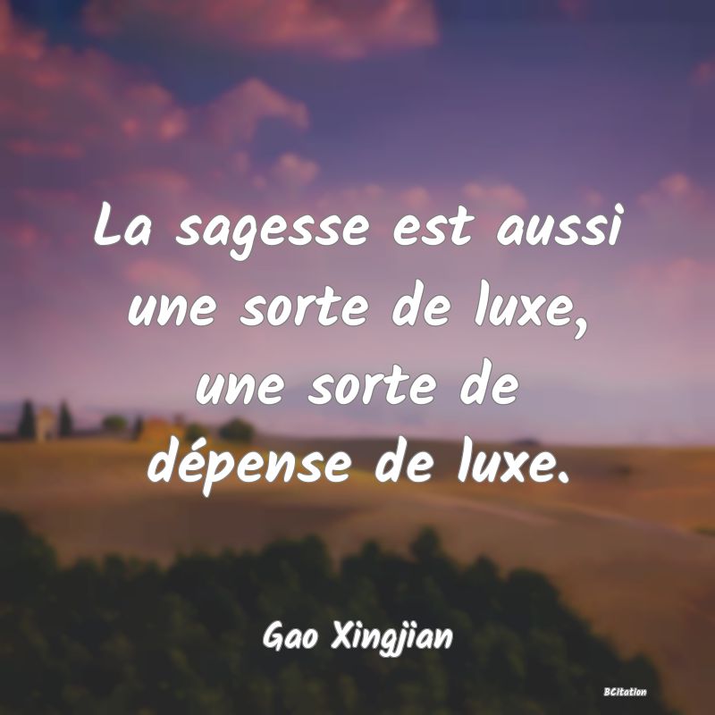 image de citation: La sagesse est aussi une sorte de luxe, une sorte de dépense de luxe.