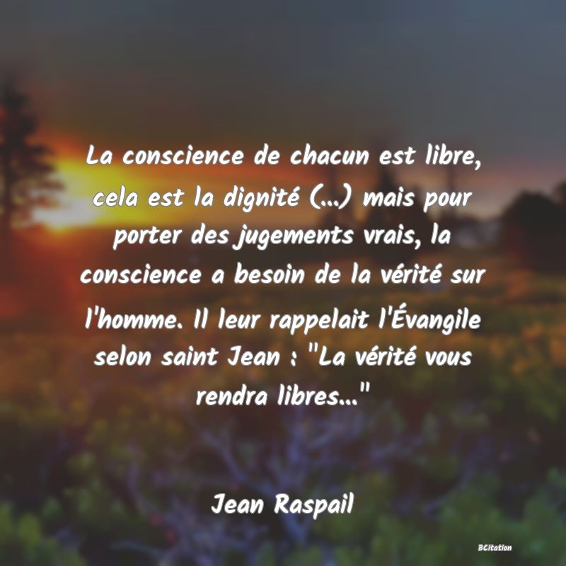 image de citation: La conscience de chacun est libre, cela est la dignité (...) mais pour porter des jugements vrais, la conscience a besoin de la vérité sur l'homme. Il leur rappelait l'Évangile selon saint Jean :  La vérité vous rendra libres... 