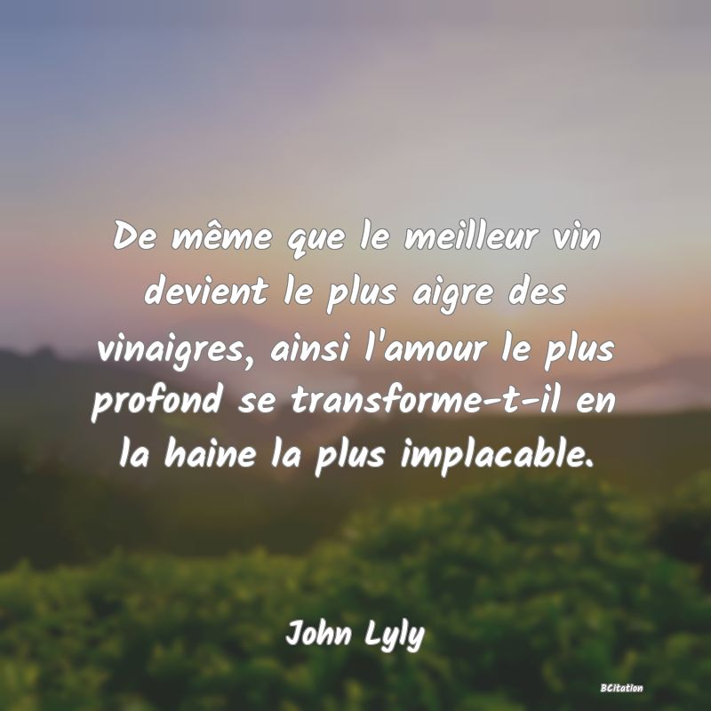 image de citation: De même que le meilleur vin devient le plus aigre des vinaigres, ainsi l'amour le plus profond se transforme-t-il en la haine la plus implacable.