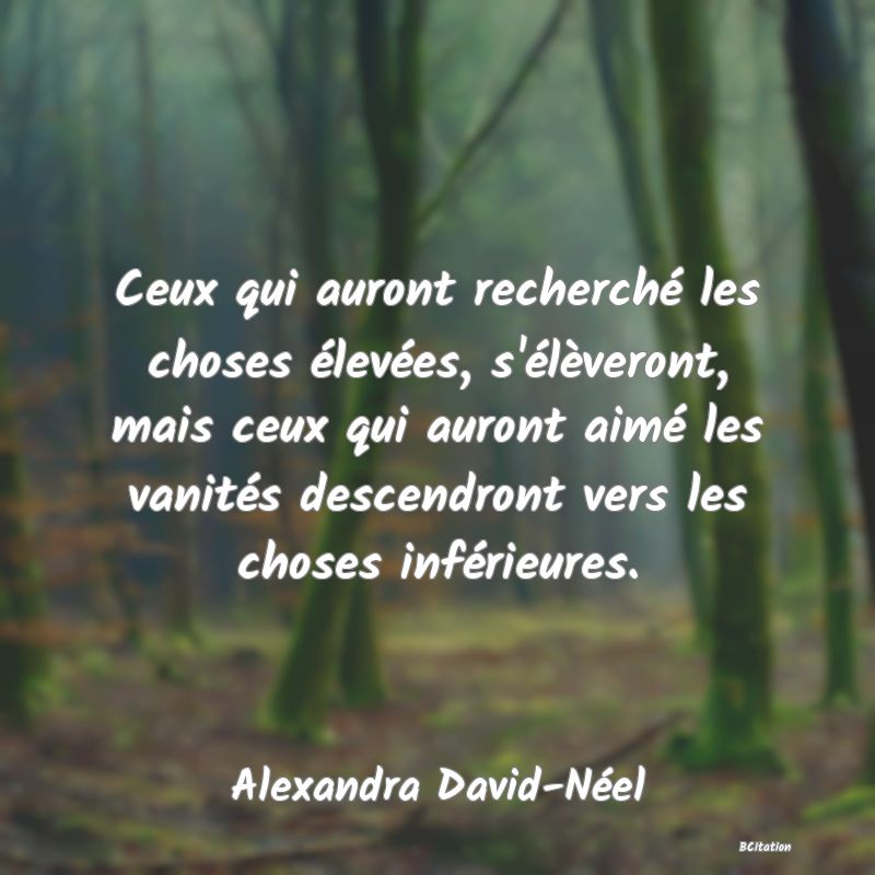 image de citation: Ceux qui auront recherché les choses élevées, s'élèveront, mais ceux qui auront aimé les vanités descendront vers les choses inférieures.