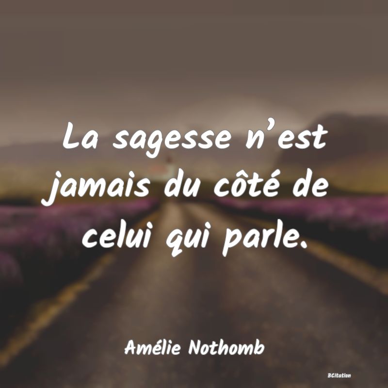 Belle Citation - La sagesse n’est jamais du côté de celui qui parle. - Amélie Nothomb