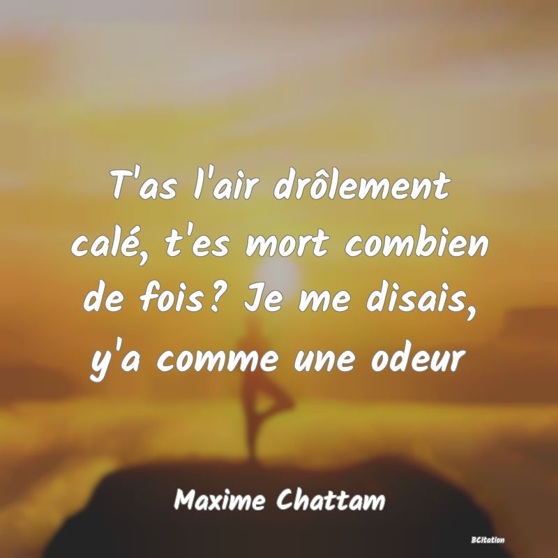 Belle Citation - T'as l'air drôlement calé, t'es mort combien de fois? Je me disais, y'a comme une odeur - Maxime Chattam